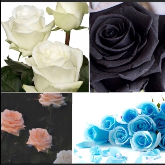 🌹🌹FULL❌ please see 🆕 Listing❌🌹🌹 - Picture 2 of 8